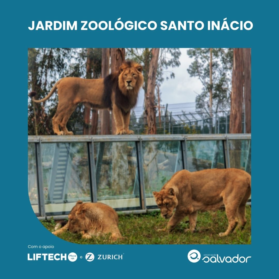 Imagem Ilustrativa - Evento Visita ao Jardim Zoológico de Santo Inácio